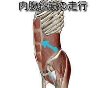 捻ると痛い腰痛の原因と治療について 春日井で腰痛なら鍼灸マッサージ室ゆうせん 捻ると痛い腰痛の原因と治療について 春日井で腰痛なら鍼灸マッサージ室ゆうせん