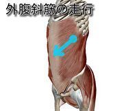 捻ると痛い腰痛の原因と治療について 春日井で腰痛なら鍼灸マッサージ室ゆうせん 捻ると痛い腰痛の原因と治療について 春日井で腰痛なら鍼灸マッサージ室ゆうせん