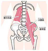横に倒すと痛い腰痛の原因と治療について 春日井で腰痛なら鍼灸マッサージ室ゆうせん 横に倒すと痛い腰痛の原因と治療について 春日井で腰痛なら鍼灸マッサージ室ゆうせん