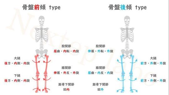 円背と平背 フラットバック についてー春日井市で腰痛や肩こりの原因となる不良姿勢でお悩みなら鍼灸マッサージ室ゆうせん