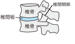 鍼通電法/パルス療法(電気鍼)の効果について~春日井市の鍼灸 鍼通電法/パルス療法(電気鍼)の効果について~春日井市の鍼灸